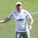 Abel Ferreira