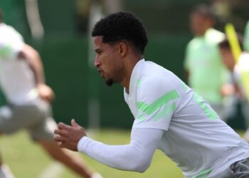 Reprodução: X / SE Palmeiras