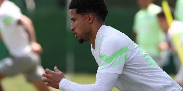 Reprodução: X / SE Palmeiras
