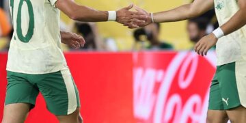 Reprodução: X / SE Palmeiras