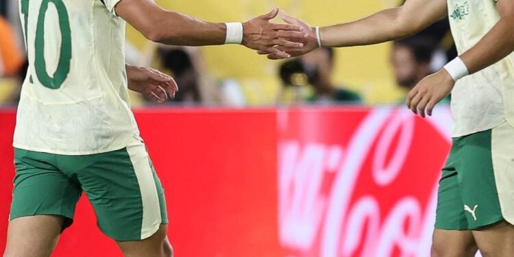 Reprodução: X / SE Palmeiras