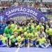 Reprodução: X/ FutsalAPF