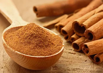 Canela - Reprodução/iStock