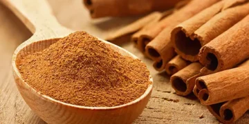 Canela - Reprodução/iStock