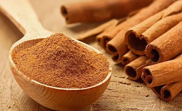 Canela - Reprodução/iStock