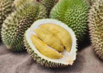 Durian - Reprodução/iStock
