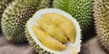 Durian - Reprodução/iStock