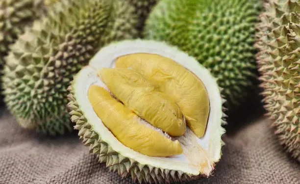 Durian - Reprodução/iStock