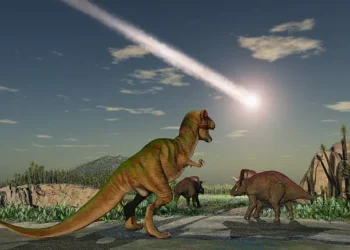 Extinção - Reprodução/iStock