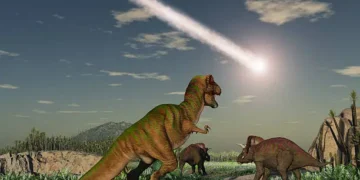 Extinção - Reprodução/iStock