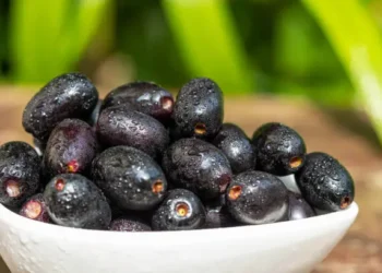 Jambolão - Reprodução/iStock