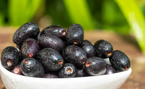 Jambolão - Reprodução/iStock