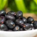 Jambolão - Reprodução/iStock