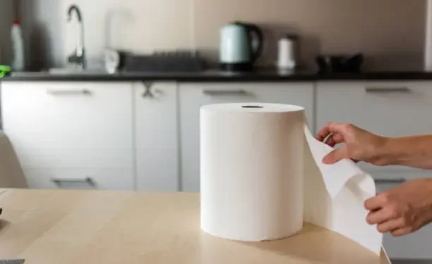 Papel Toalha - Reprodução/iStock