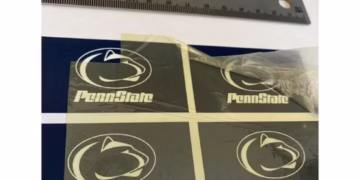 Foto: Qiming Zhang e equipe/Penn State