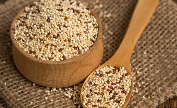 Quinoa - Reprodução/iStock