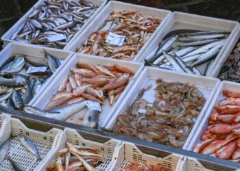 O peixe perfeito para quem deseja emagrecer com dieta