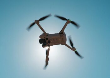 Pesquisa usa movimento de insetos para criar drones mais eficientes