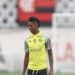 Reprodução: Gilvan de Souza / CRF