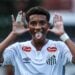 Reprodução: Raul Baretta / Santos FC