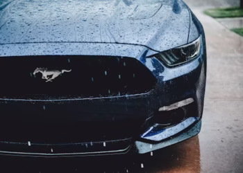 Mustang - Reprodução/Unsplash