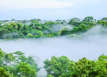 Reprodução/iStock