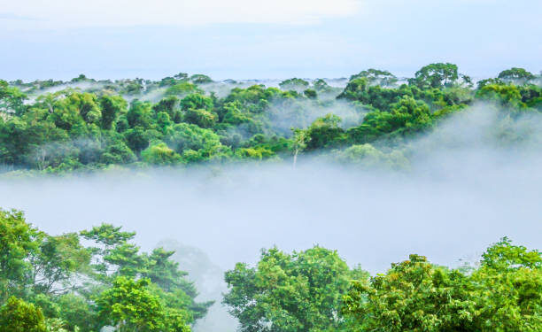 Reprodução/iStock