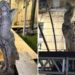 Divulgação/Prefeitura de Vitória