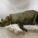 Foto de Mammoth museum of North-Eastern Federal University