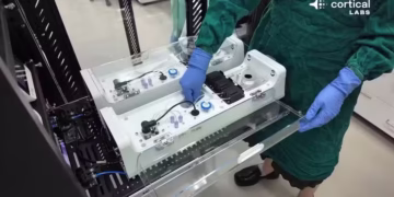 Foto: Captura de tela/Youtube/Cortical Labs