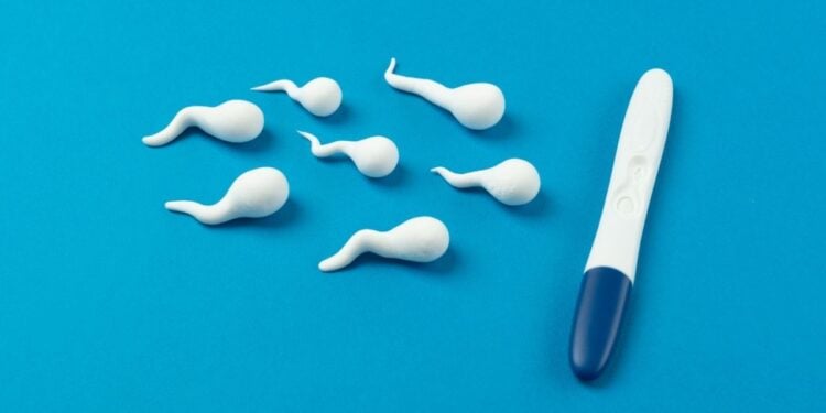 9 fatores que podem causar infertilidade masculina e poucos sabem
