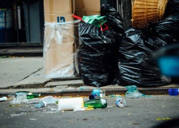 Jogar lixo na rua pode ter punição mais dura após decisão da Câmara