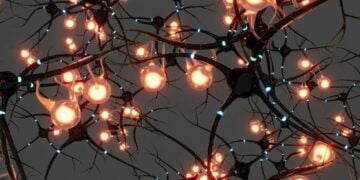 Empresa desenvolve servidores com neurônios vivos de humanos
