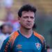 Reprodução: X / Fluminense F.C.
