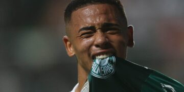 Reprodução: X / SE Palmeiras