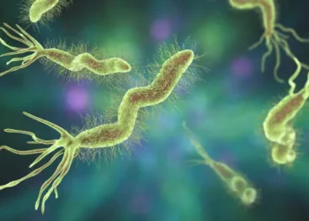 Helicobacter pylori - Reprodução/iStock