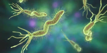 Helicobacter pylori - Reprodução/iStock