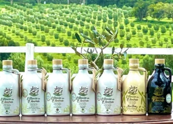 Foto: Divulgação/ Estância das Oliveiras