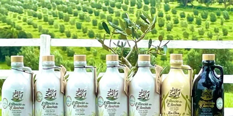 Foto: Divulgação/ Estância das Oliveiras
