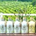 Foto: Divulgação/ Estância das Oliveiras