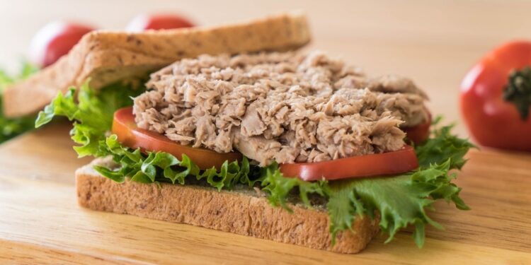 Escolha entre atum fresco ou enlatado pode mudar valor nutricional