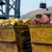 Mineradora encontra depósito gigante de ouro, prata e cobre perto de São Paulo