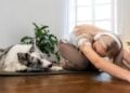 Nova tendência fitness faz pessoas imitarem animais durante exercícios