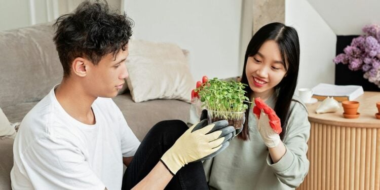 Ciência revela se conversar com plantas realmente ajuda no crescimento