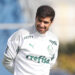 Reprodução: Cesar Grecco / Palmeiras