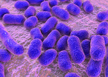 Acinetobacter baumannii – Foto: Kateryna Kon/123RF