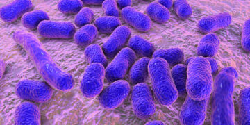 Acinetobacter baumannii – Foto: Kateryna Kon/123RF