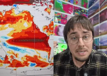 Meteorologista catarinense Piter Scheuer - Reprodução/TikTok