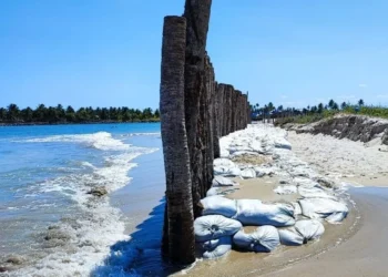 Muro construído em praia de Pernambuco  • Divulgação