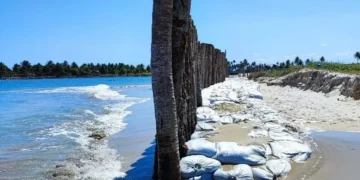 Muro construído em praia de Pernambuco  • Divulgação